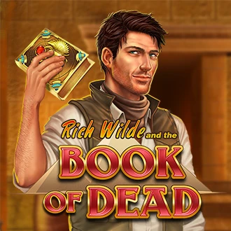 Okładka slotu Book of Dead w VOX Casino